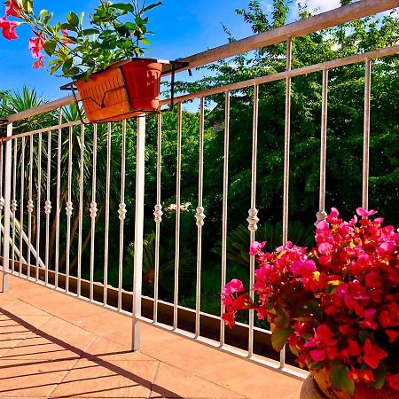 Villa Il Ciliegio Stella Cilento Exterior foto